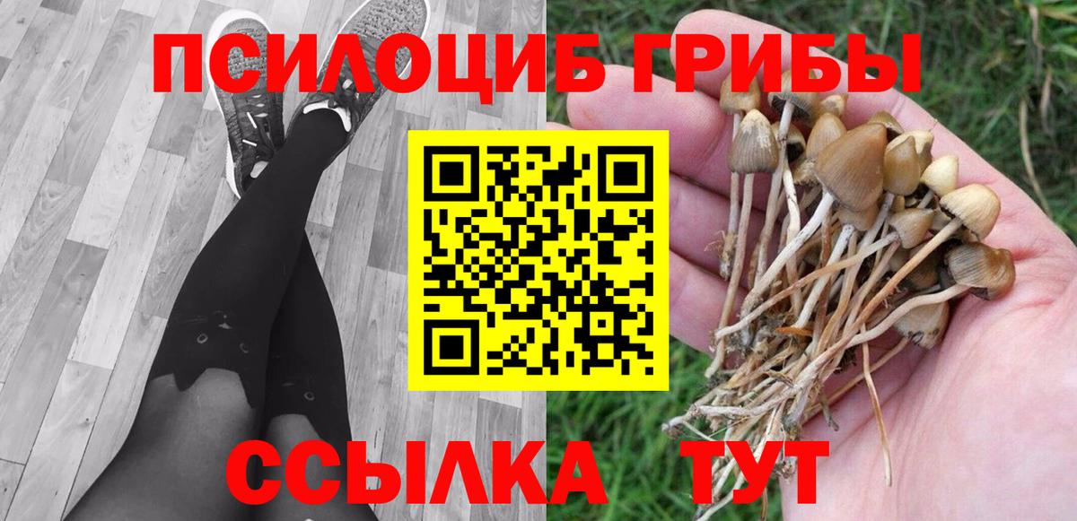 Галлюциногенные грибы прущие грибы Дальнереченск